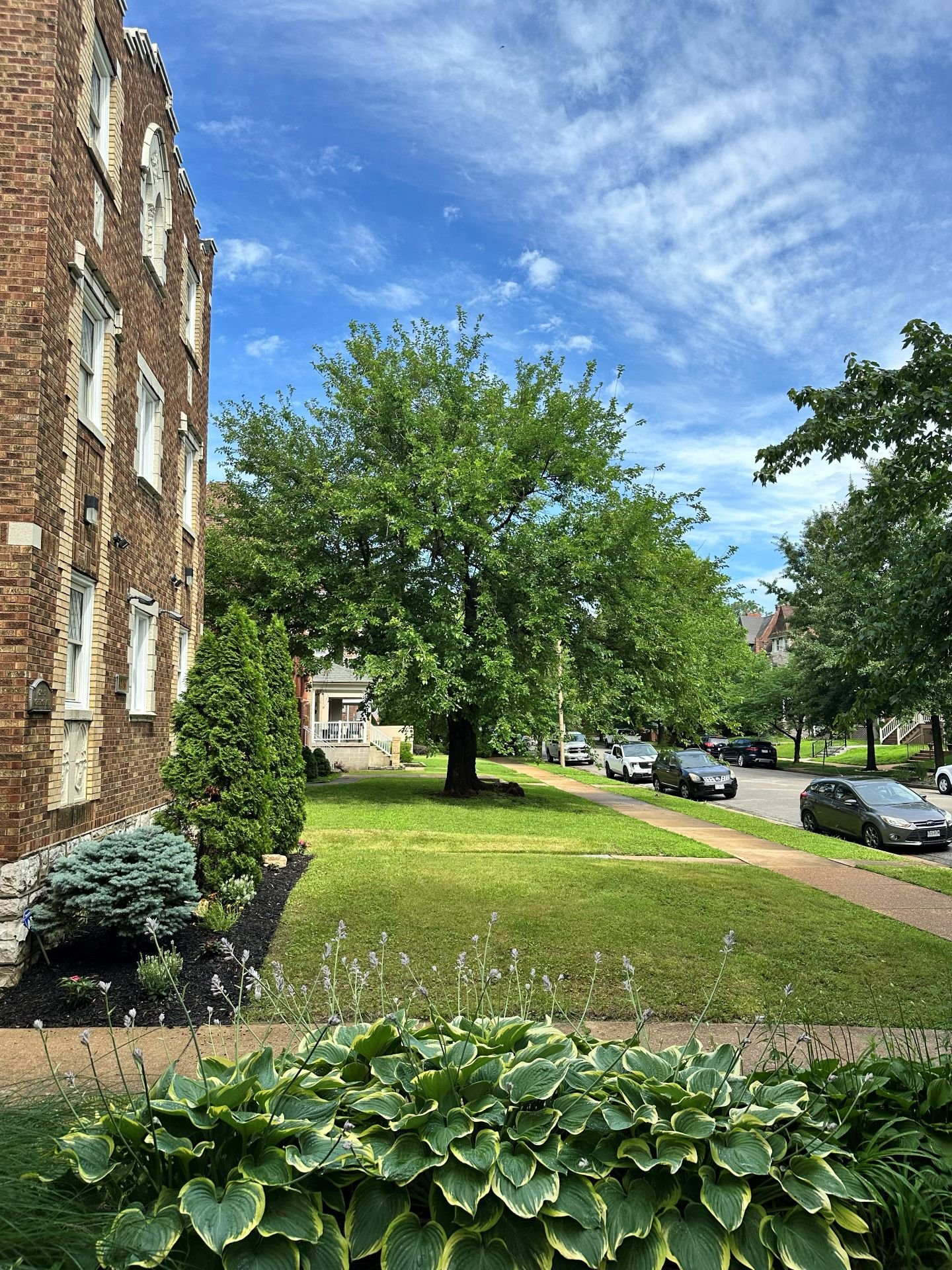 Front lawn and street view